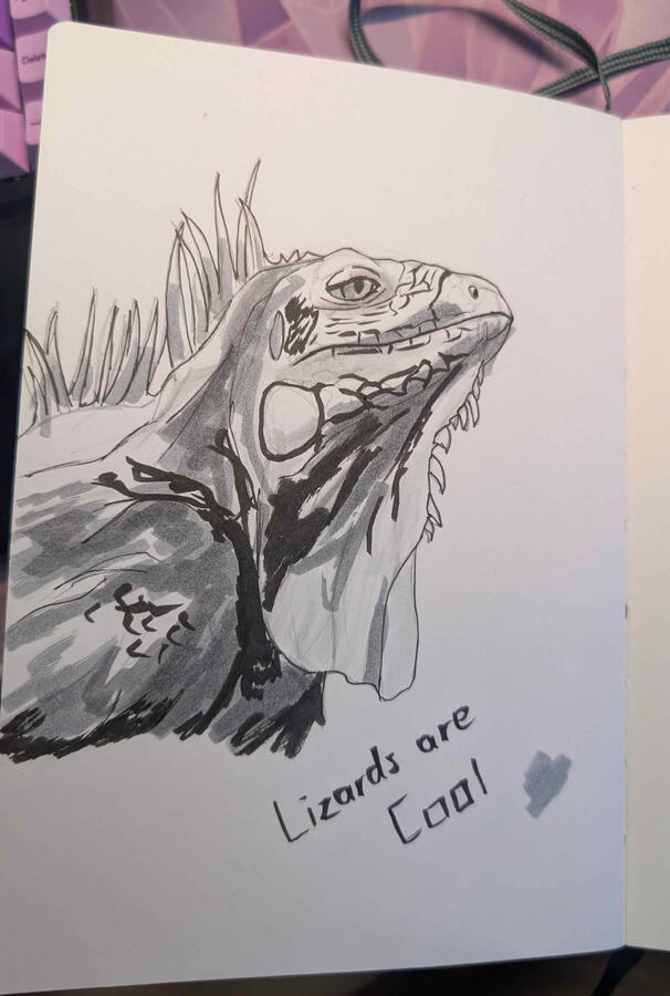 Lizard Sketch